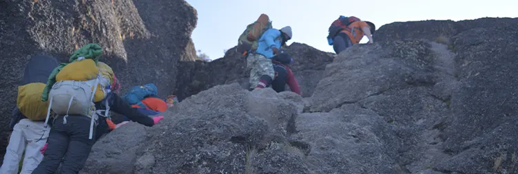 Mweka Camp  to Mweka Gate Back to Moshi